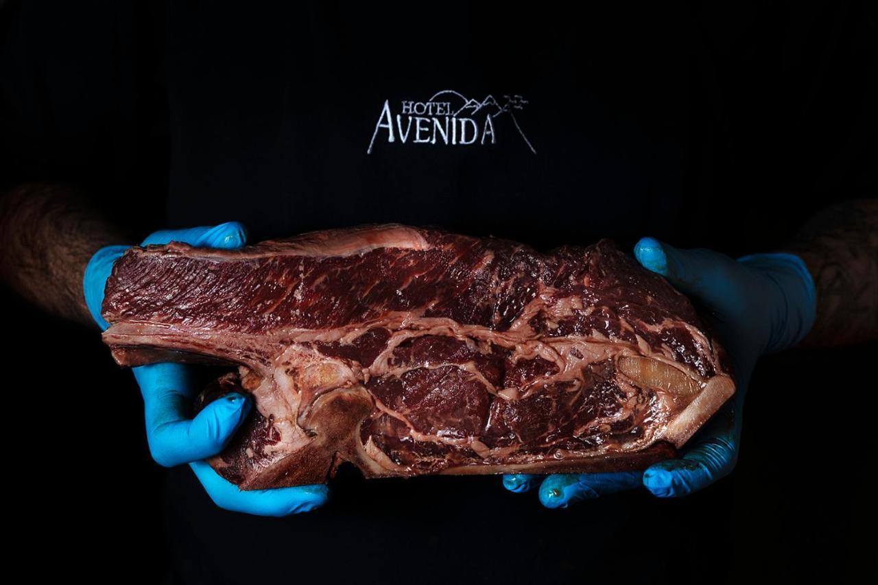 Hotel Avenida Benasque Eksteriør bilde